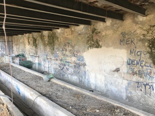 enlèvement de graffitis Marseille